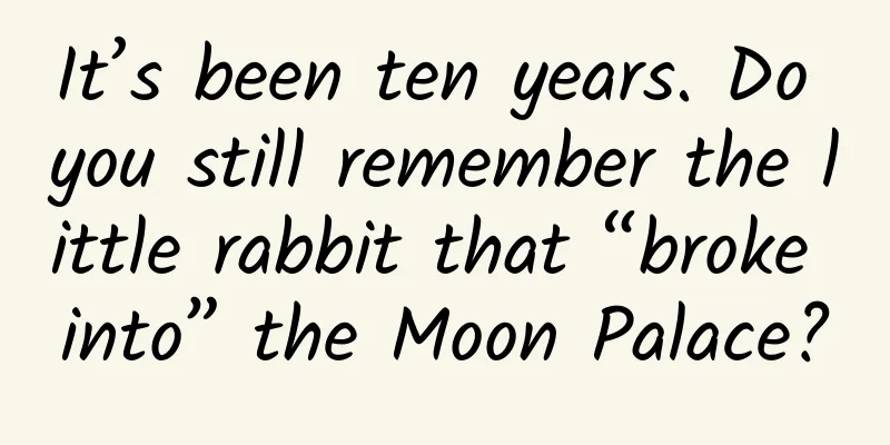It’s been ten years. Do you still remember the little rabbit that “broke into” the Moon Palace?