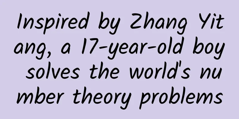 Inspired by Zhang Yitang, a 17-year-old boy solves the world's number theory problems