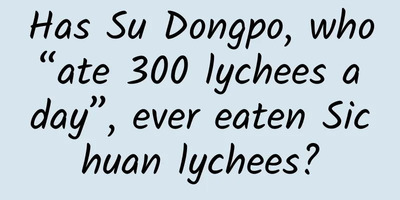 Has Su Dongpo, who “ate 300 lychees a day”, ever eaten Sichuan lychees?