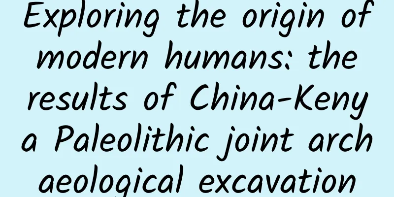 Exploring the origin of modern humans: the results of China-Kenya Paleolithic joint archaeological excavation
