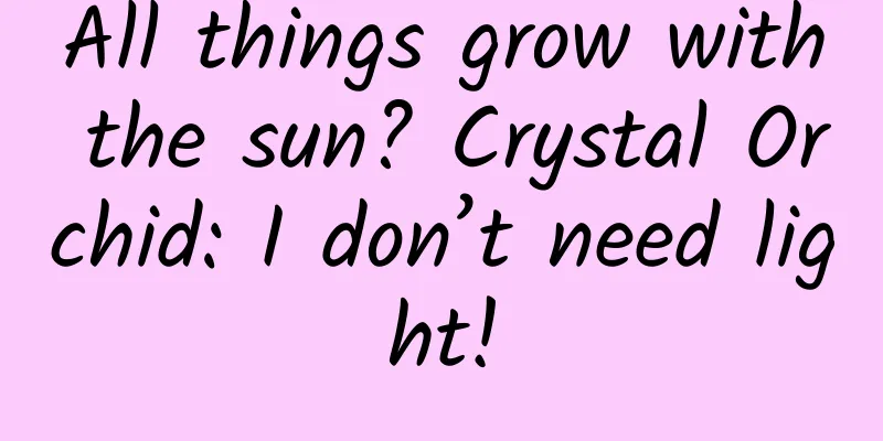 All things grow with the sun? Crystal Orchid: I don’t need light!