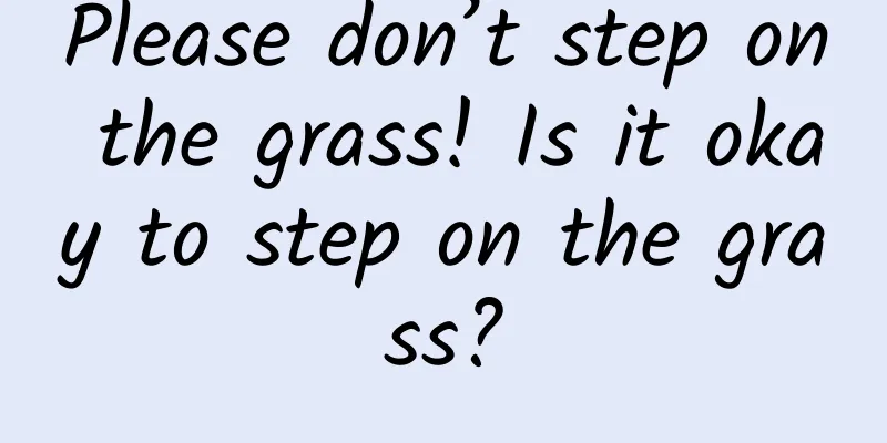 Please don’t step on the grass! Is it okay to step on the grass?