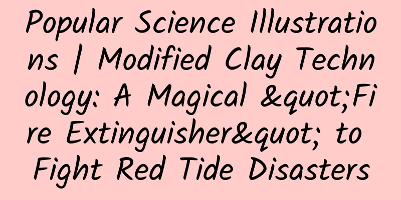 Popular Science Illustrations | Modified Clay Technology: A Magical "Fire Extinguisher" to Fight Red Tide Disasters