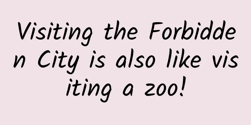 Visiting the Forbidden City is also like visiting a zoo!