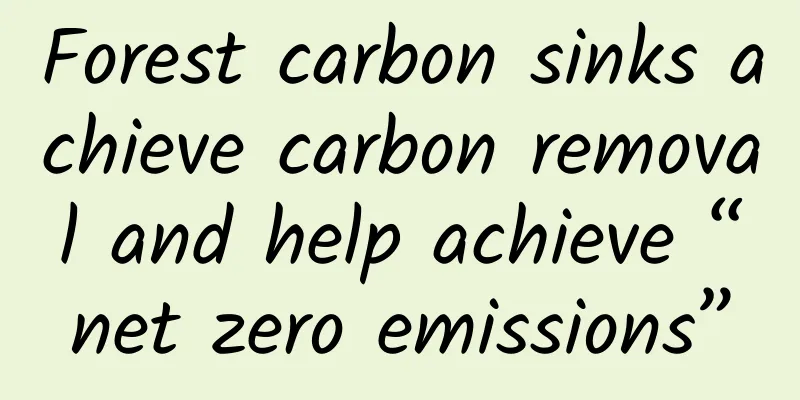 Forest carbon sinks achieve carbon removal and help achieve “net zero emissions”