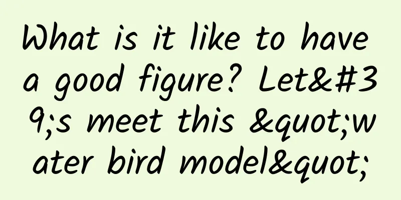 What is it like to have a good figure? Let's meet this "water bird model"