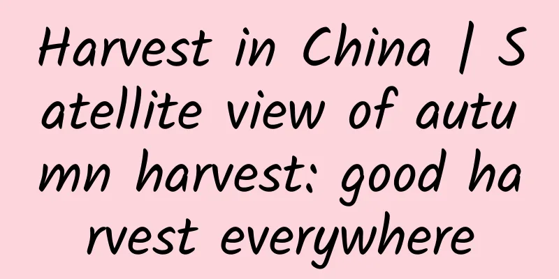 Harvest in China | Satellite view of autumn harvest: good harvest everywhere