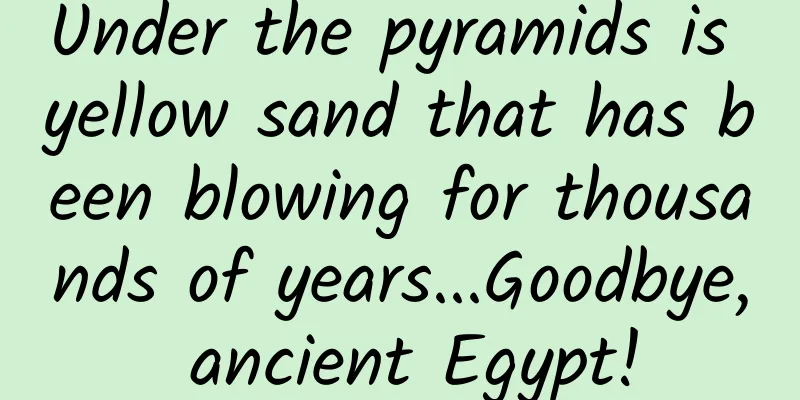 Under the pyramids is yellow sand that has been blowing for thousands of years...Goodbye, ancient Egypt!