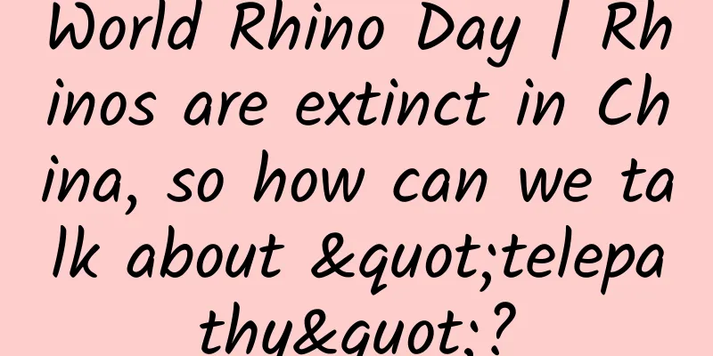 World Rhino Day | Rhinos are extinct in China, so how can we talk about "telepathy"?