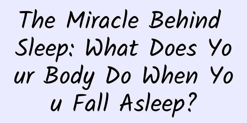 The Miracle Behind Sleep: What Does Your Body Do When You Fall Asleep?