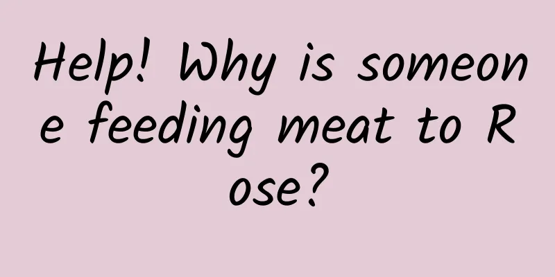 Help! Why is someone feeding meat to Rose?