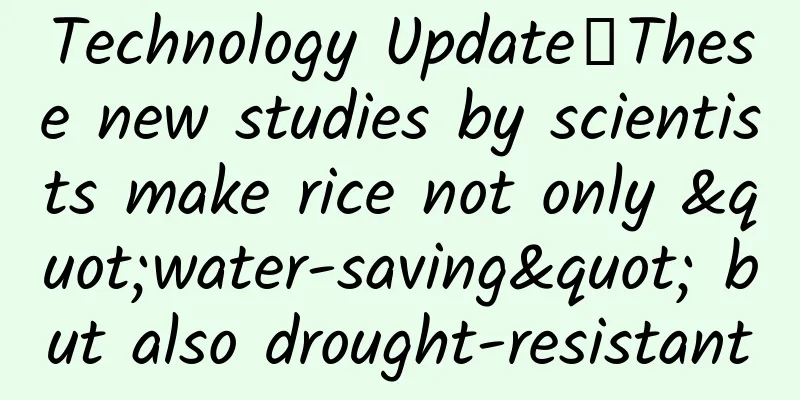 Technology Update丨These new studies by scientists make rice not only "water-saving" but also drought-resistant