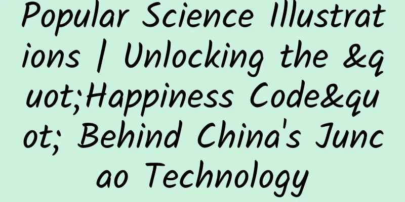 Popular Science Illustrations | Unlocking the "Happiness Code" Behind China's Juncao Technology
