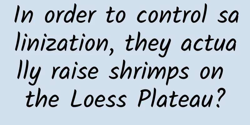 In order to control salinization, they actually raise shrimps on the Loess Plateau?