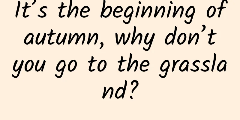 It’s the beginning of autumn, why don’t you go to the grassland?
