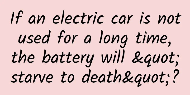 If an electric car is not used for a long time, the battery will "starve to death"?
