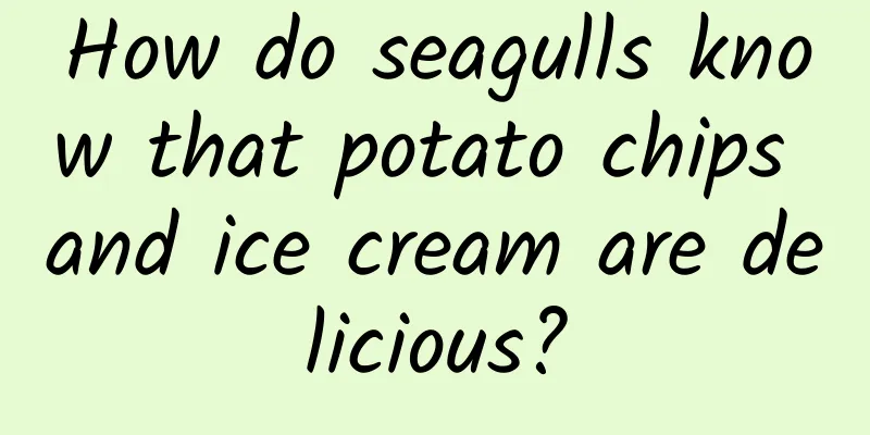 How do seagulls know that potato chips and ice cream are delicious?