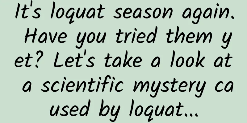 It's loquat season again. Have you tried them yet? Let's take a look at a scientific mystery caused by loquat...