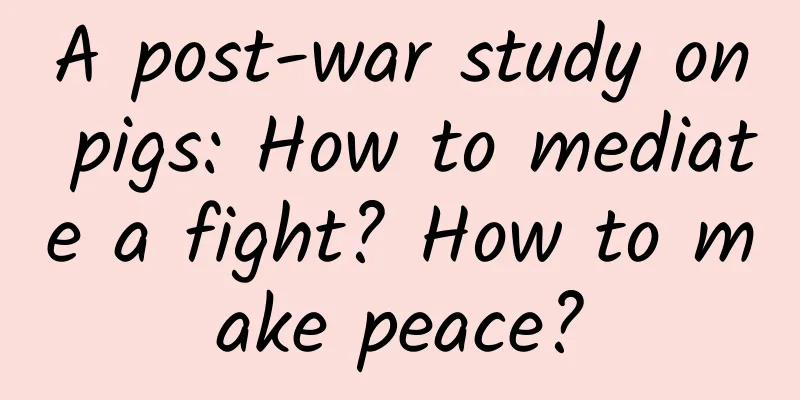A post-war study on pigs: How to mediate a fight? How to make peace?