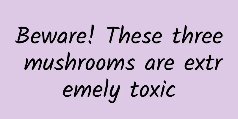 Beware! These three mushrooms are extremely toxic