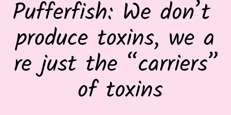 Pufferfish: We don’t produce toxins, we are just the “carriers” of toxins