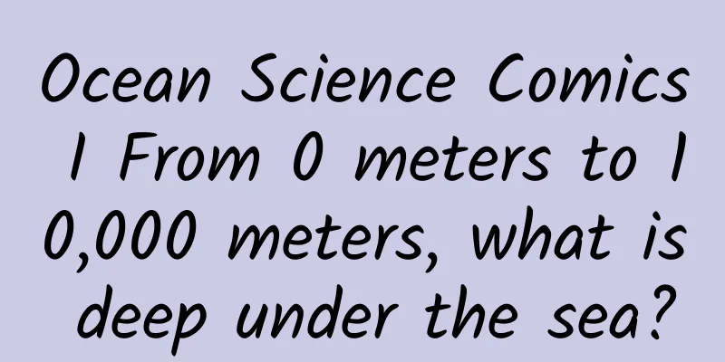 Ocean Science Comics I From 0 meters to 10,000 meters, what is deep under the sea?