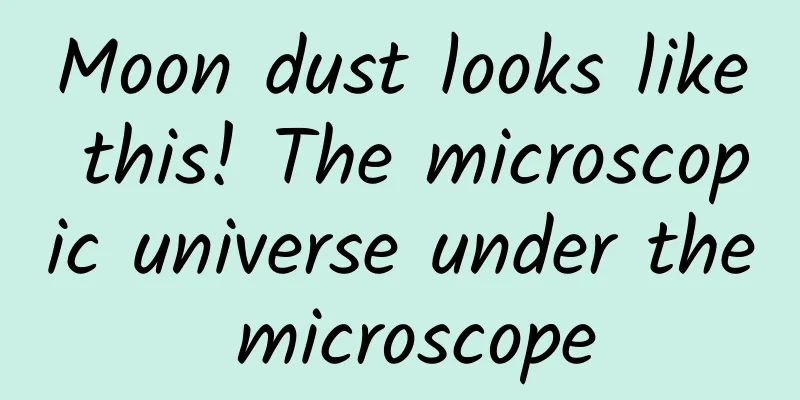 Moon dust looks like this! The microscopic universe under the microscope