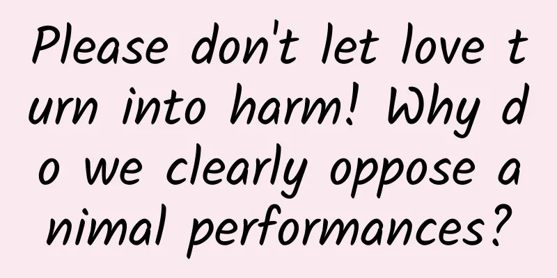 Please don't let love turn into harm! Why do we clearly oppose animal performances?