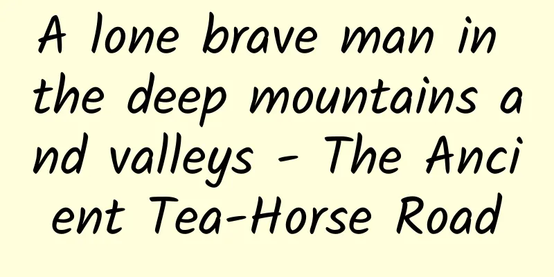 A lone brave man in the deep mountains and valleys - The Ancient Tea-Horse Road