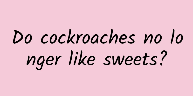 Do cockroaches no longer like sweets?