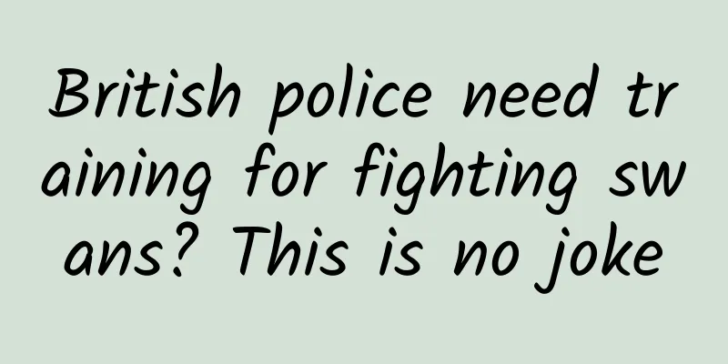 British police need training for fighting swans? This is no joke