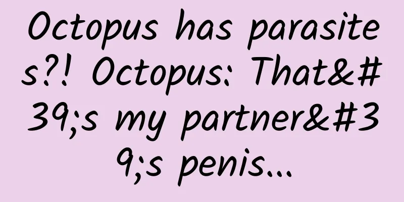 Octopus has parasites?! Octopus: That's my partner's penis...