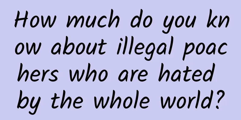 How much do you know about illegal poachers who are hated by the whole world?