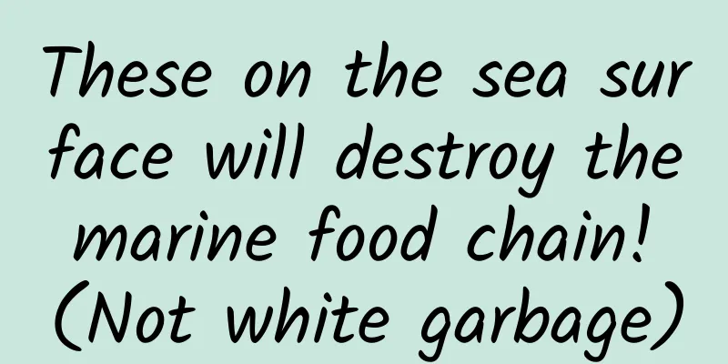 These on the sea surface will destroy the marine food chain! (Not white garbage)
