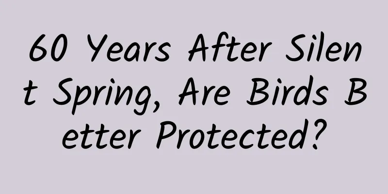60 Years After Silent Spring, Are Birds Better Protected?
