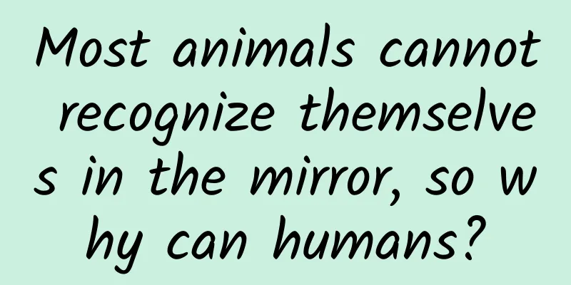 Most animals cannot recognize themselves in the mirror, so why can humans?