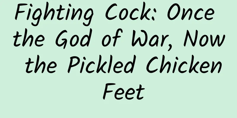 Fighting Cock: Once the God of War, Now the Pickled Chicken Feet