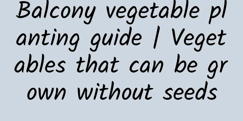 Balcony vegetable planting guide | Vegetables that can be grown without seeds