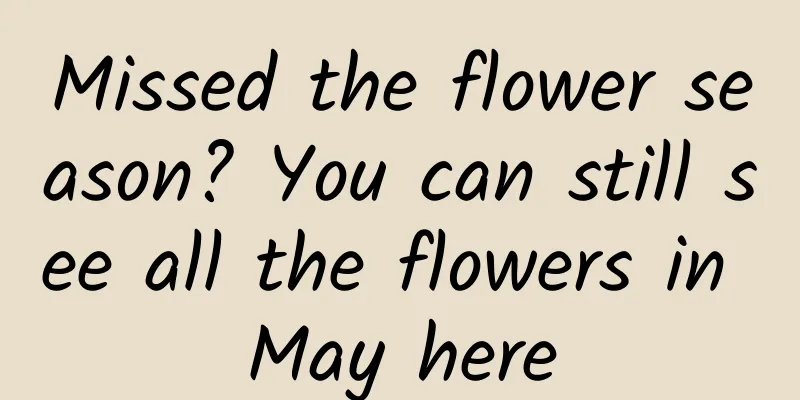 Missed the flower season? You can still see all the flowers in May here