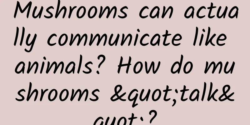 Mushrooms can actually communicate like animals? How do mushrooms "talk"?
