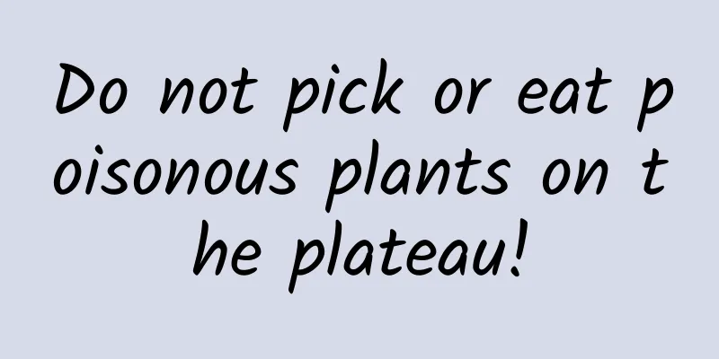 Do not pick or eat poisonous plants on the plateau!