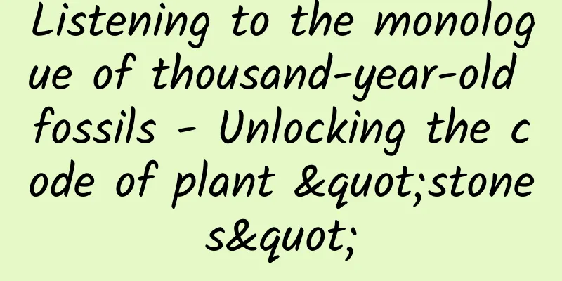Listening to the monologue of thousand-year-old fossils - Unlocking the code of plant "stones"