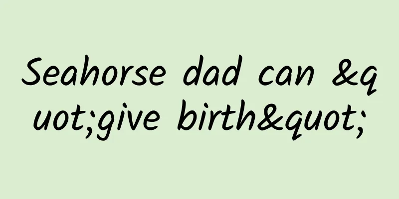 Seahorse dad can "give birth"