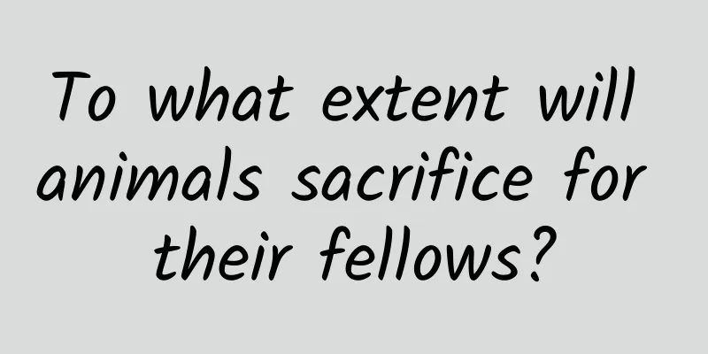 To what extent will animals sacrifice for their fellows?