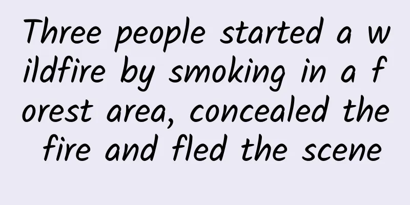 Three people started a wildfire by smoking in a forest area, concealed the fire and fled the scene