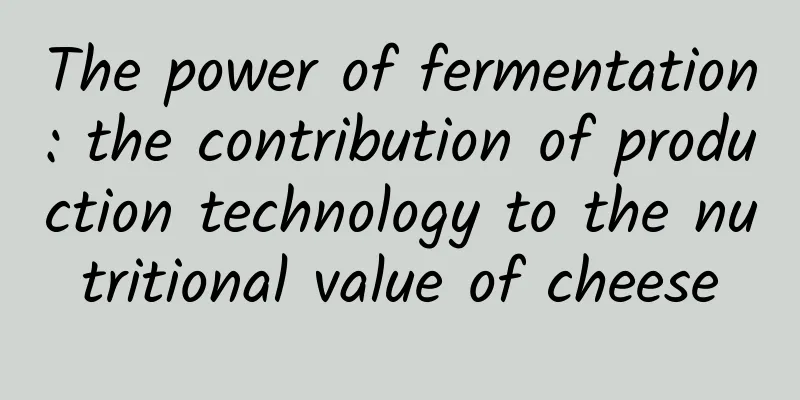 The power of fermentation: the contribution of production technology to the nutritional value of cheese