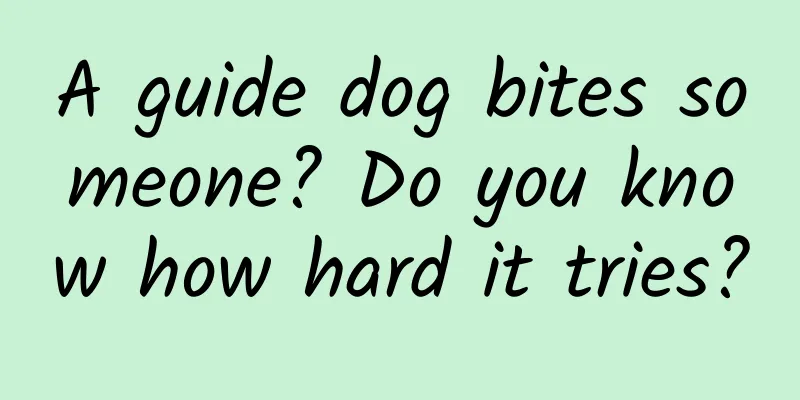A guide dog bites someone? Do you know how hard it tries?