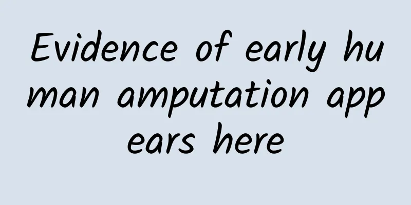 Evidence of early human amputation appears here