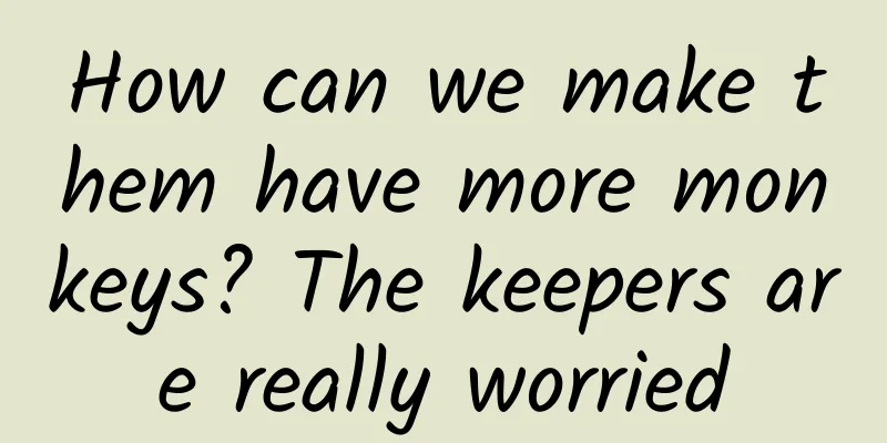 How can we make them have more monkeys? The keepers are really worried