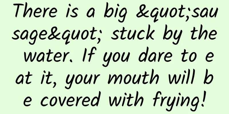 There is a big "sausage" stuck by the water. If you dare to eat it, your mouth will be covered with frying!
